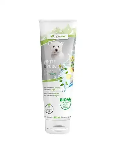 Hundeshampoo für weißes Fell Bogacare Shampoo White & Pure 250ml