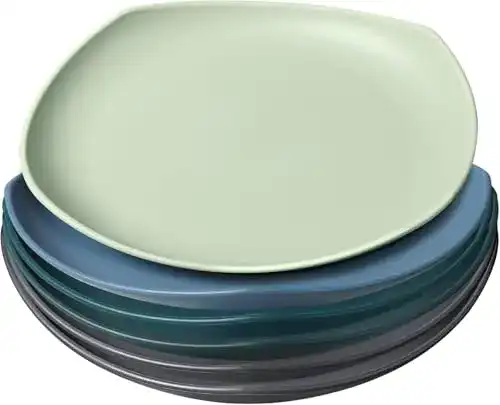 Weizenstroh Teller Greentainer 6er Set 24,1 cm für verschiedene Anlässe