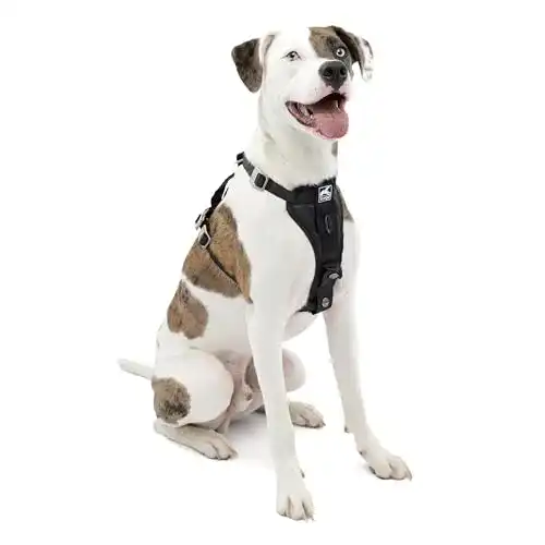 Hundegeschirr Kurgo TRU-Fit mit Brustring für Hunde von 2 bis 5 kg