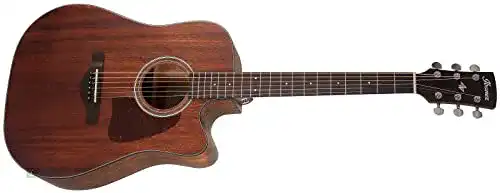 Westerngitarre Ibanez AW54CE-OPN im Vergleich