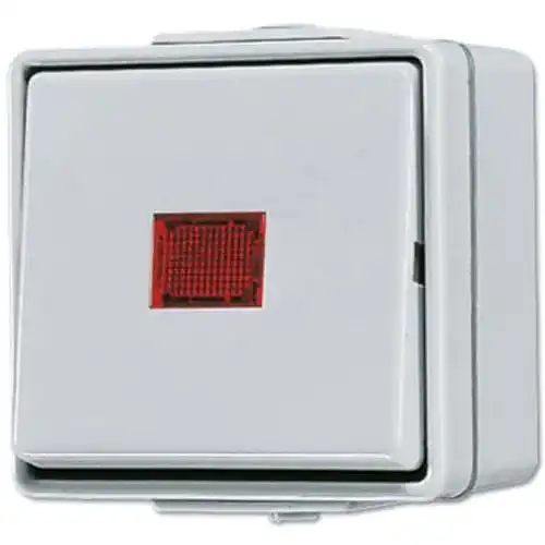 Jung 606KOW Wipp-Kontrollschalter Universal Aus-Wechsel