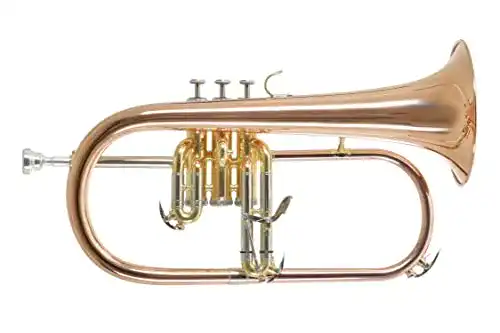 Flügelhorn Roy Benson Bb-FH-302G mit 11mm MS Bohrung und Goldmessing