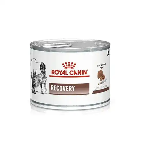 Royal Canin Nassfutter für Hunde – Veterinary Recovery 12 x 195 g