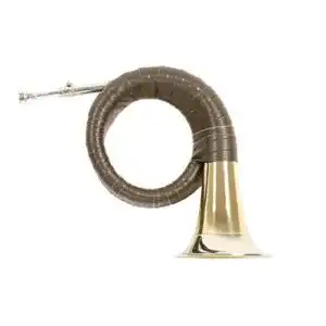 Jagdhorn Roy Benson Fürst Pless-Horn HH-101 aus Messing
