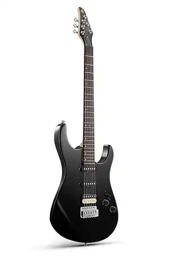 Donner DMT-66 39 Zoll Full Size E-Gitarre für Anfänger