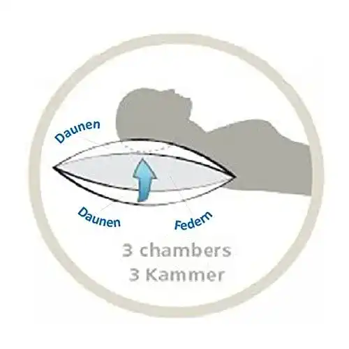 Daunenkissen TM Maxx 3 Kammer Kissen 80×80 cm