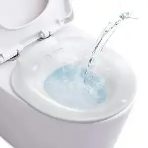 Sitzbad Mitbuty für die Toilette – Tragbare Sitzbadewanne für verschiedene Anwendungen