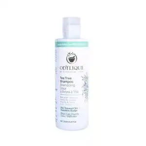 Kräuter-Shampoo Odylique Naturkosmetik mit Teebaum und Kräutern