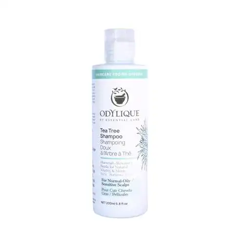 Kräuter-Shampoo Odylique Naturkosmetik mit Teebaum und Kräutern