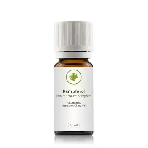 Kampferöl 10 ml – 100% naturrein – Cinnamomum Camphora