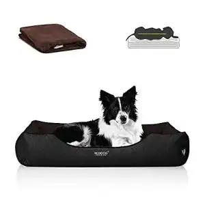 Hundebett Kunstleder BedDog Orthopädisches Modell Buffy