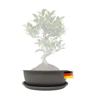 Bonsai-Schale Genki-Bonsai Pflanzschale 16 x 12,5 x 6 cm aus Kunststoff