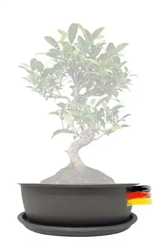 Bonsai-Schale Genki-Bonsai Pflanzschale 16 x 12,5 x 6 cm aus Kunststoff
