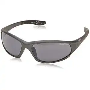 Alpina Sonnenbrille Wylder für Outdoorsport