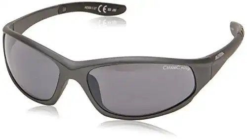 Alpina Sonnenbrille Wylder für Outdoorsport