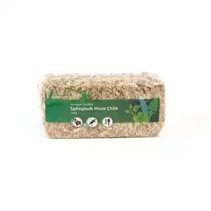 Sphagnum Moos für Terrarien und Orchideen – 150 g