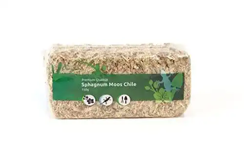 Sphagnum Moos für Terrarien und Orchideen – 150 g