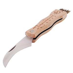 Pilzmesser Esschert Design mit Pinsel und Lineal