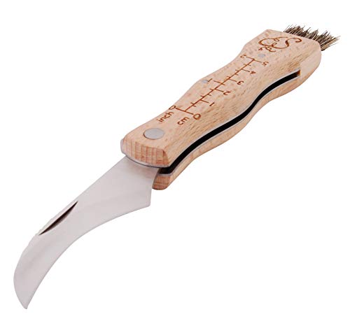 Pilzmesser Esschert Design mit Pinsel und Lineal