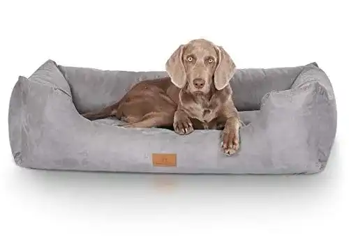 Hundebett für große Hunde Knuffelwuff Dreamline in Übergröße