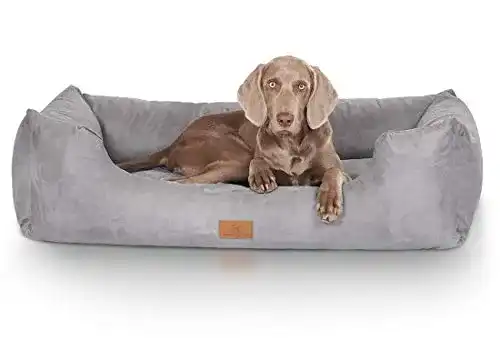 Hundebett für große Hunde Knuffelwuff Dreamline in Übergröße