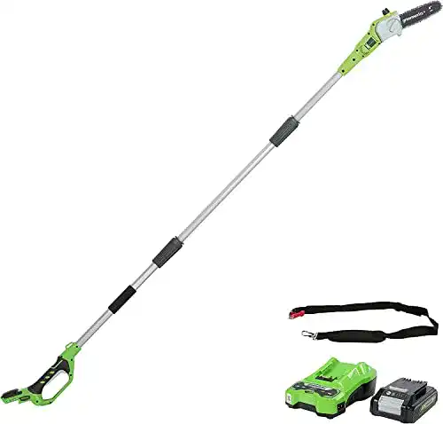 Akku-Hochentaster Greenworks G24PS20K2 mit 20 cm Sägeblatt