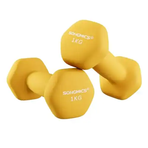 Hanteln 1 kg im 2er Set von Songmics Kurzhanteln mit Neopren-Beschichtung