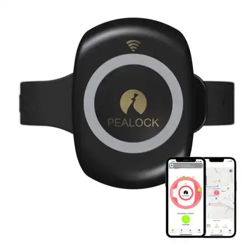 Smartes elektronisches Fahrradschloss Pealock mit Alarm und GPS