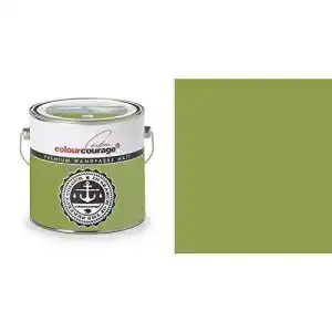 Wandfarbe Grün Hossi’s Wholesale 2,5 Liter Colourcourage