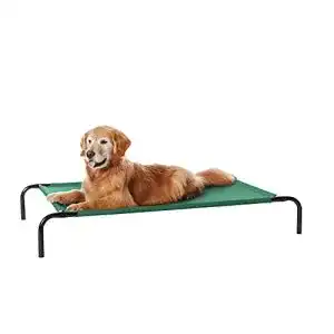 Hundeliege Amazon Basics Kühlendes erhöhtes Hundebett in Grün