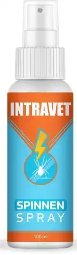 Spinnenspray Saint Nutrition Intravet – Effektives Mittel gegen Spinnen