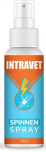 Spinnenspray Saint Nutrition Intravet – Effektives Mittel gegen Spinnen