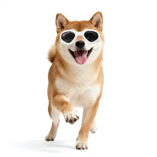 Hundebrille Petleso Namsan für Hunde und Welpen mit UV-Schutz