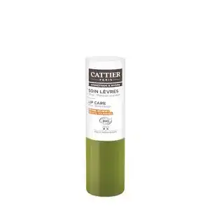 Lippenpflege Cattier Paris, 1er Pack (4 g)