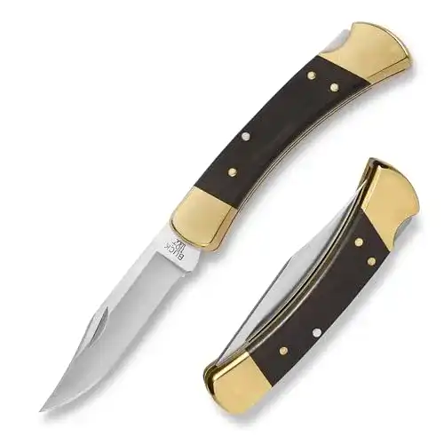Buck Folding Hunter Messer mit 420HC Edelstahlklinge