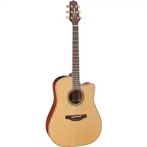 Takamine P3DC Natural Satin Westerngitarre im Vergleich