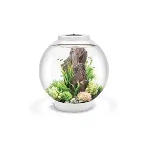 Rundes Aquarium Biorb Classic 60 LED, 60 L in Weiß