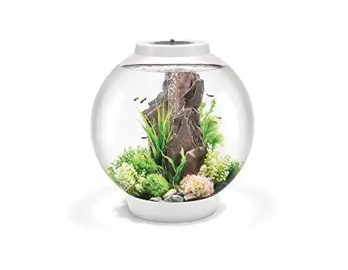 Rundes Aquarium Biorb Classic 60 LED, 60 L in Weiß