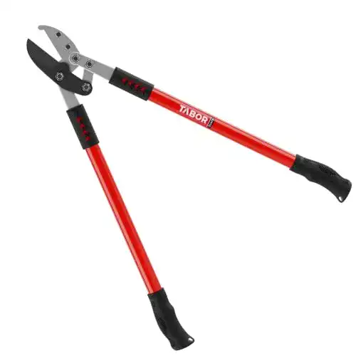 Amboss Astschere Tabor Tools GG12E für trockene Äste