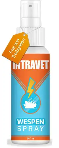 Wespenabwehrspray Intravet Wasp Defence für Garten und Balkon