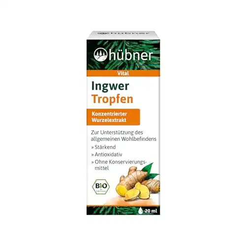 Hübner Ingwertropfen Ingwer Extrakt 20 ml