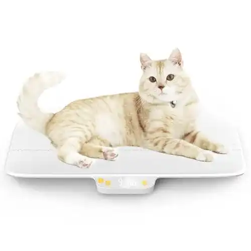 Digitale Tierwaage MINDPET-MED für Haustiere und Babys bis 30 kg