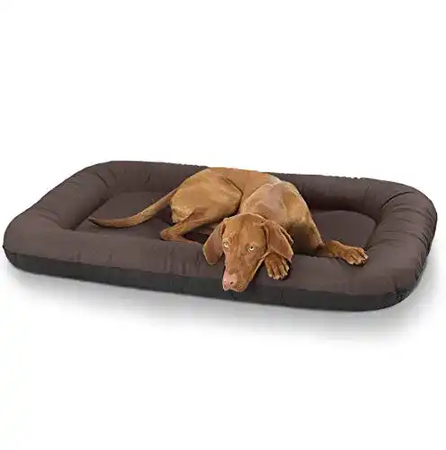 Hundebett aus Kunstleder Jerry von Knuffelwuff in XL