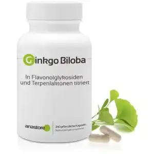 Ginkgo-Tabletten Ginkgo Biloba 60 mg, 240 Kapseln