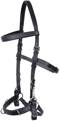 Kappzaum Harry’s Horse Kaptoom Kopfstück aus Leder