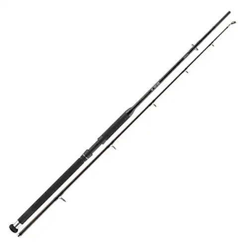 Wallerrute Cormoran Big Cat Power Lifter 2,70m 100-400g im Vergleich