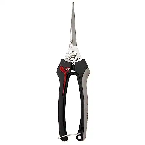 Bellota 3629 INOXGR25MB Ernteschere für Obst und Gemüse