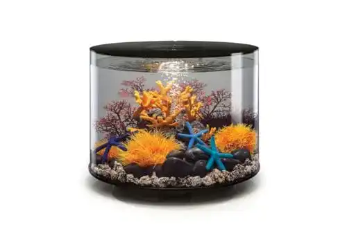 Rundes Aquarium Biorb Tube 35 LED in Schwarz