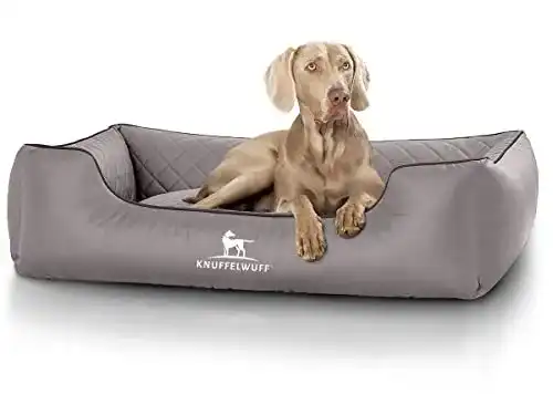 Hundebett Knuffelwuff Orthopädisches Modell Madison für große Hunde
