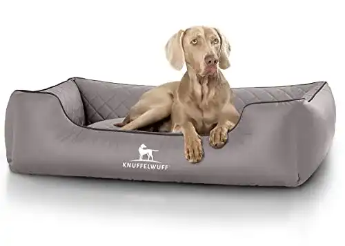 Hundebett Knuffelwuff Orthopädisches Modell Madison für große Hunde
